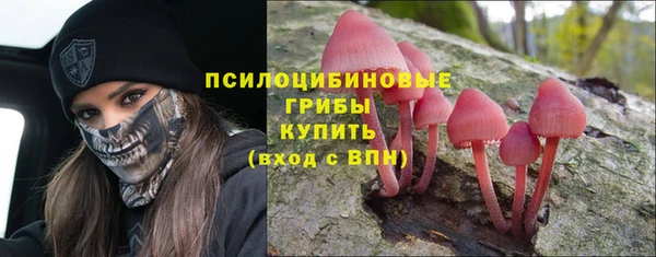 эйфоретик Баксан