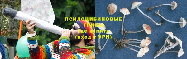 прущие грибы Балахна